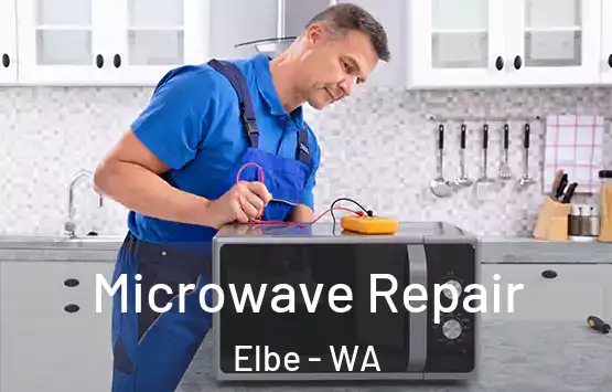  Microwave Repair Elbe - WA