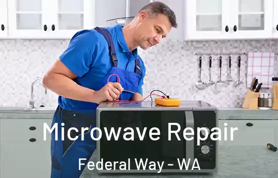  Microwave Repair Federal Way - WA