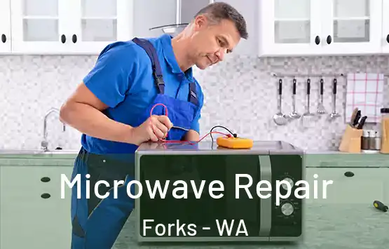  Microwave Repair Forks - WA