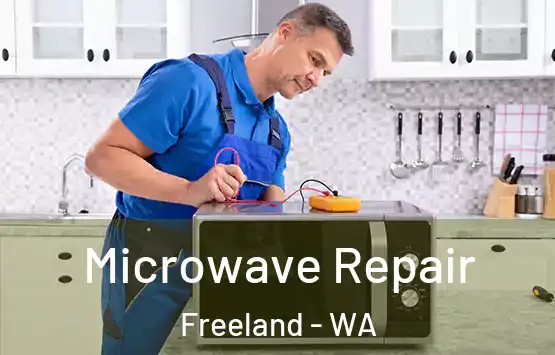  Microwave Repair Freeland - WA
