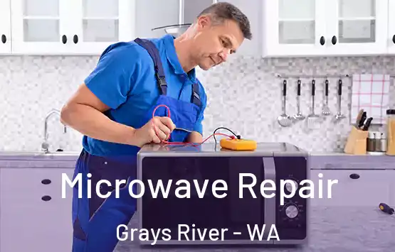  Microwave Repair Grays River - WA
