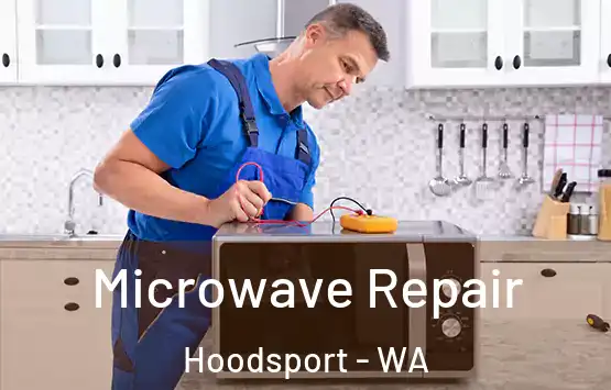  Microwave Repair Hoodsport - WA