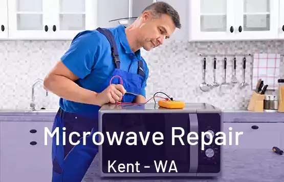  Microwave Repair Kent - WA