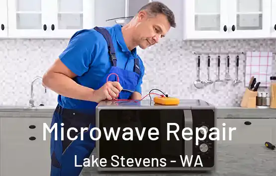  Microwave Repair Lake Stevens - WA