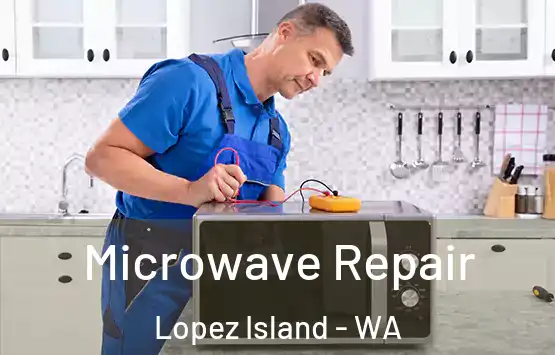  Microwave Repair Lopez Island - WA