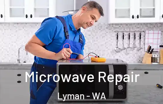  Microwave Repair Lyman - WA