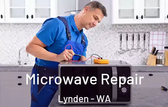  Microwave Repair Lynden - WA