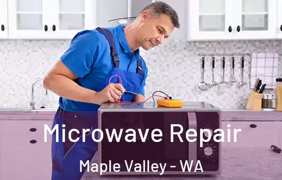  Microwave Repair Maple Valley - WA