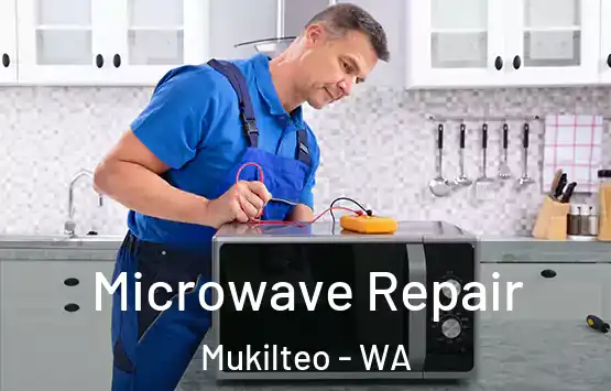  Microwave Repair Mukilteo - WA