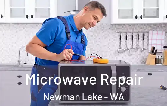  Microwave Repair Newman Lake - WA