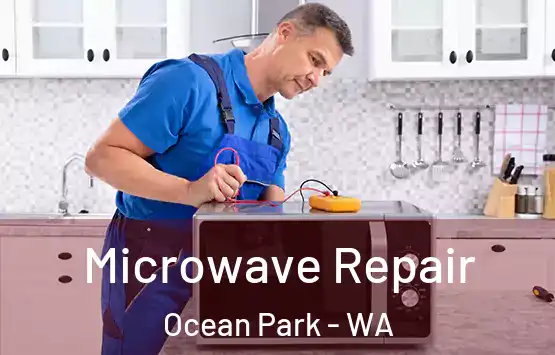  Microwave Repair Ocean Park - WA