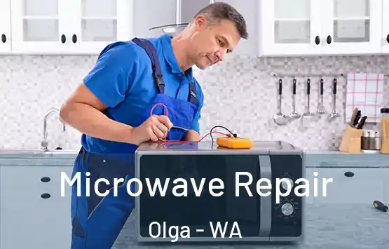  Microwave Repair Olga - WA