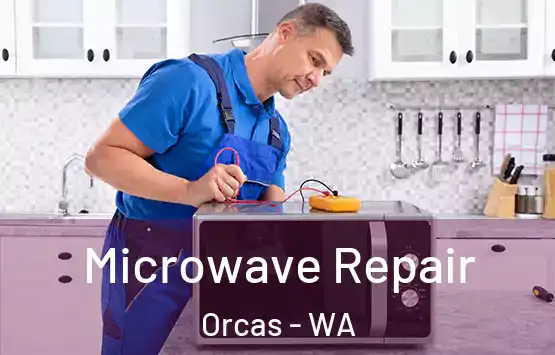  Microwave Repair Orcas - WA