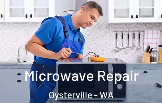  Microwave Repair Oysterville - WA
