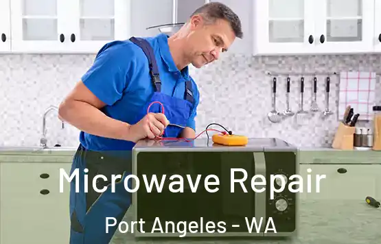  Microwave Repair Port Angeles - WA