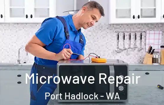  Microwave Repair Port Hadlock - WA