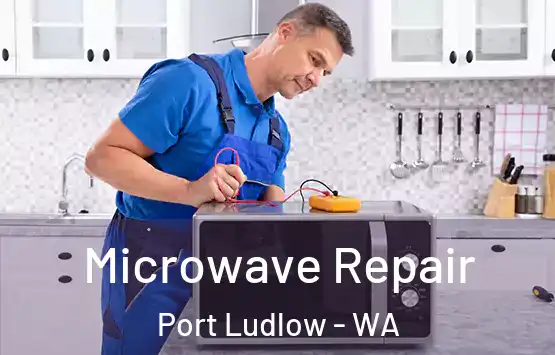  Microwave Repair Port Ludlow - WA