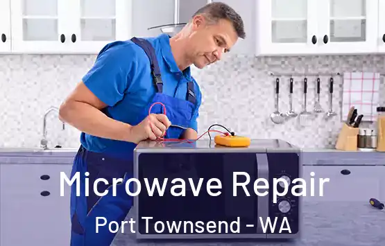  Microwave Repair Port Townsend - WA