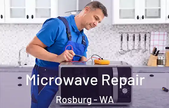  Microwave Repair Rosburg - WA