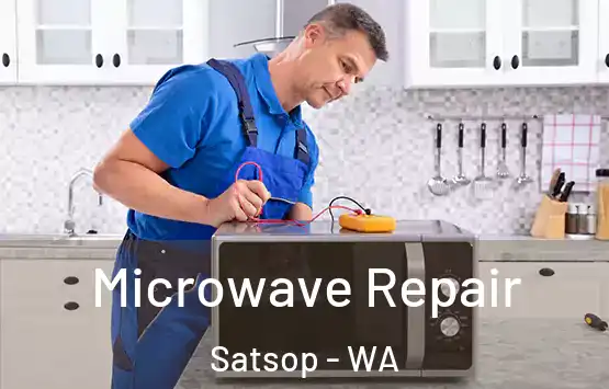  Microwave Repair Satsop - WA