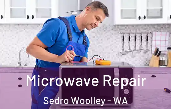  Microwave Repair Sedro Woolley - WA