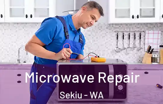  Microwave Repair Sekiu - WA