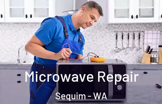  Microwave Repair Sequim - WA