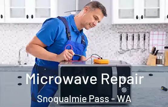  Microwave Repair Snoqualmie Pass - WA