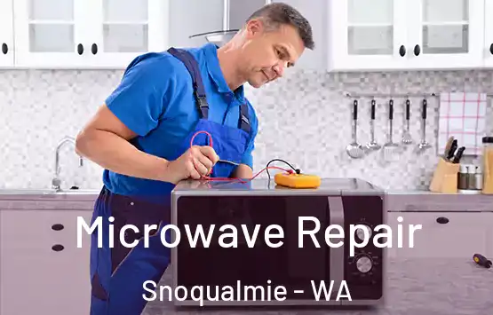  Microwave Repair Snoqualmie - WA