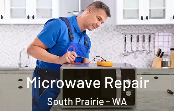  Microwave Repair South Prairie - WA