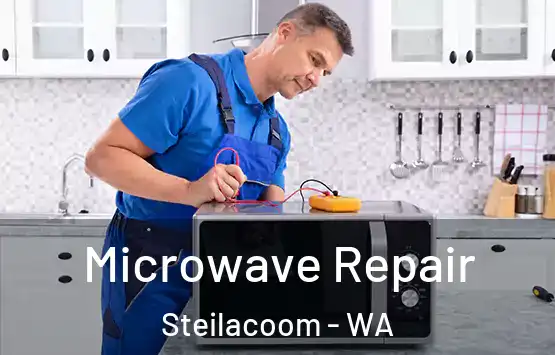  Microwave Repair Steilacoom - WA