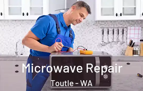  Microwave Repair Toutle - WA