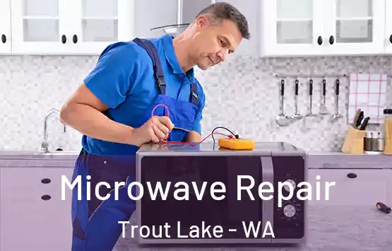  Microwave Repair Trout Lake - WA