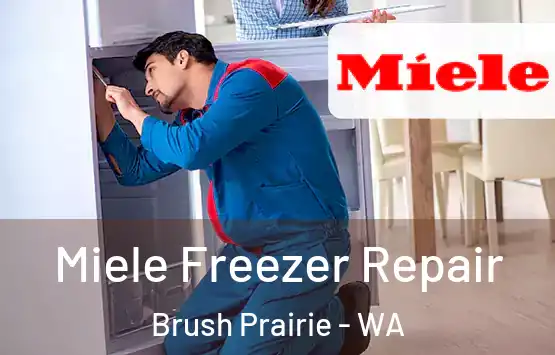  Miele Freezer Repair Brush Prairie - WA