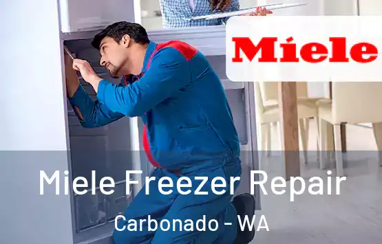  Miele Freezer Repair Carbonado - WA