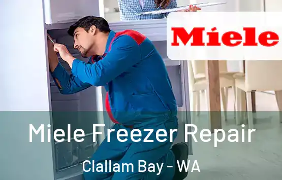  Miele Freezer Repair Clallam Bay - WA