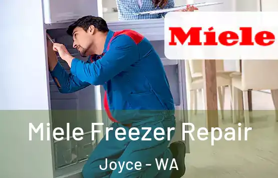  Miele Freezer Repair Joyce - WA