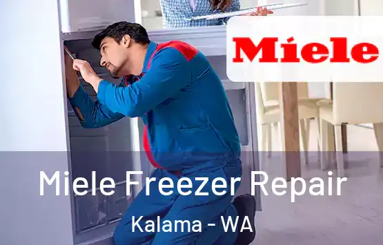  Miele Freezer Repair Kalama - WA