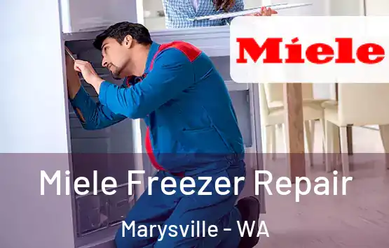  Miele Freezer Repair Marysville - WA