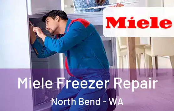  Miele Freezer Repair North Bend - WA