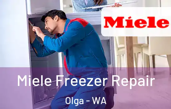  Miele Freezer Repair Olga - WA