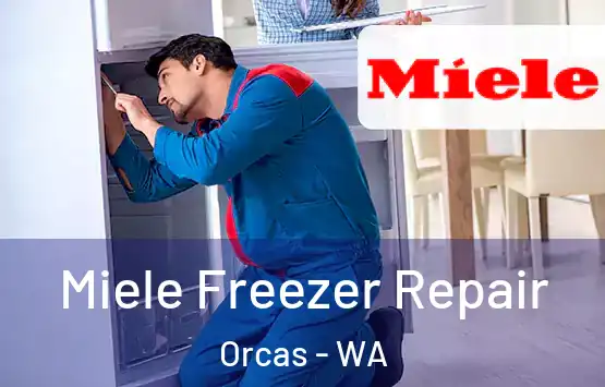  Miele Freezer Repair Orcas - WA