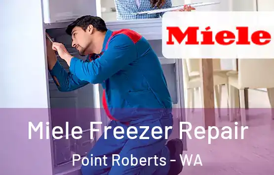  Miele Freezer Repair Point Roberts - WA