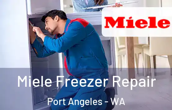  Miele Freezer Repair Port Angeles - WA