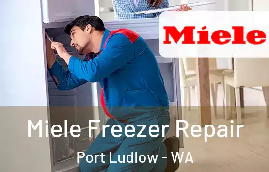  Miele Freezer Repair Port Ludlow - WA