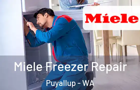  Miele Freezer Repair Puyallup - WA