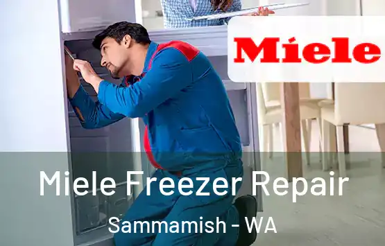  Miele Freezer Repair Sammamish - WA