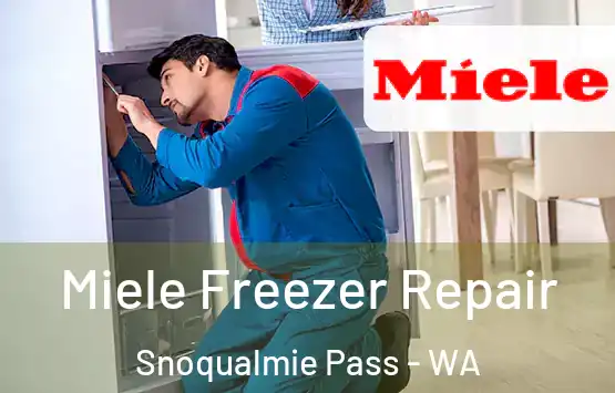  Miele Freezer Repair Snoqualmie Pass - WA