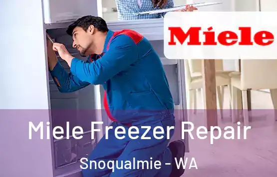  Miele Freezer Repair Snoqualmie - WA