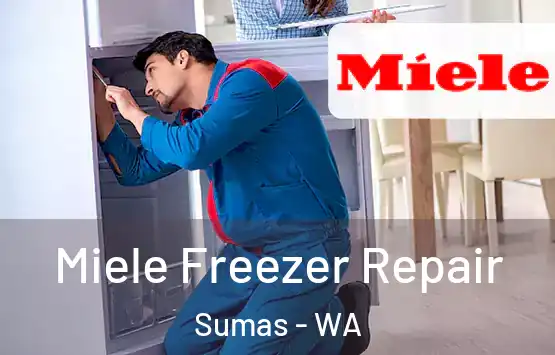  Miele Freezer Repair Sumas - WA